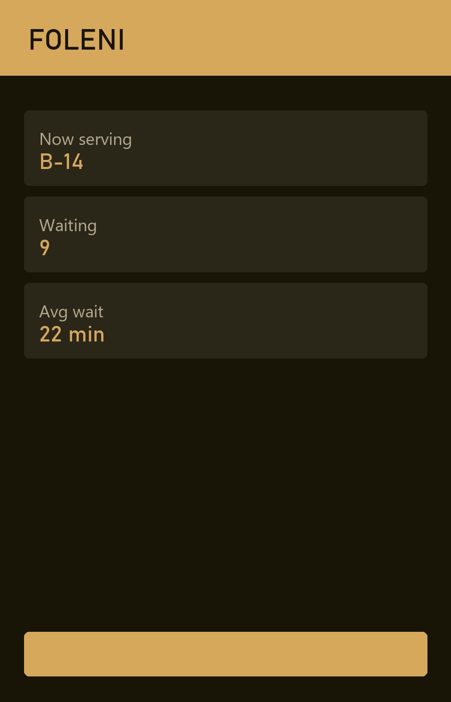 The Foleni clinic queue